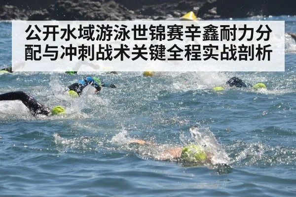 公开水域游泳世锦赛辛鑫耐力分配与冲刺战术关键全程实战剖析